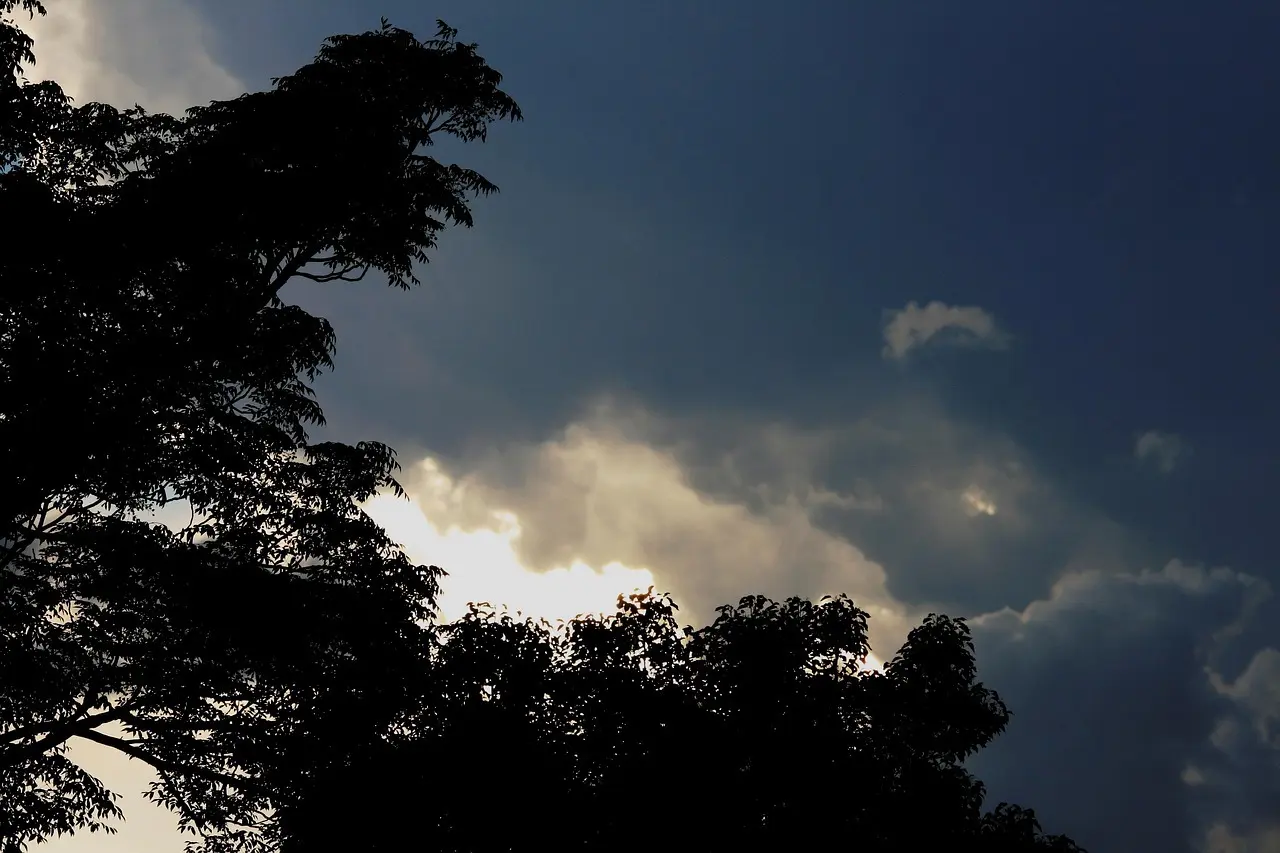 Lys som løfter rummet: Guide til lag-på-lag belysning i alle zoner